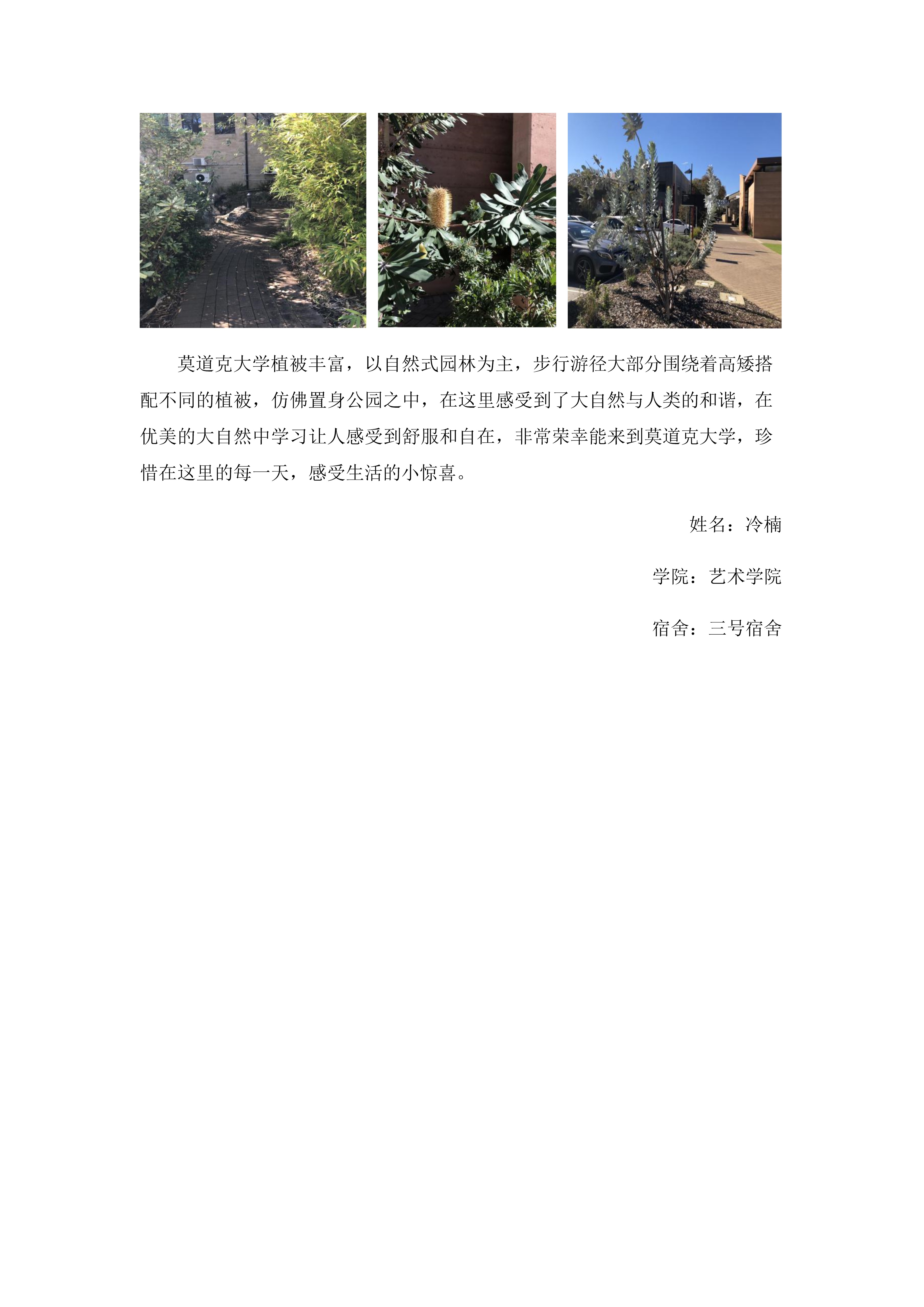 永利yl23411官网