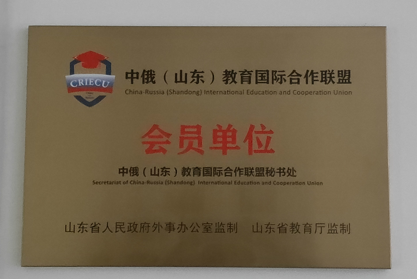 永利yl23411官网