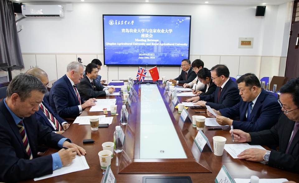 永利yl23411官网